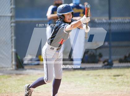 Thumbnail 3 in Newport Harbor @ Marina photogallery.
