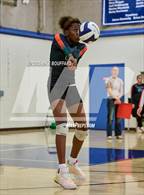 Photo from the gallery "Thacher @ Laguna Blanca"