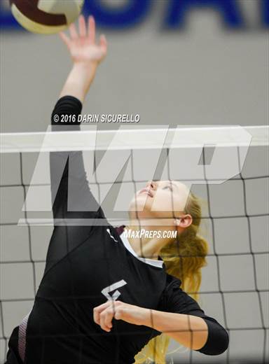 null - Photo 11