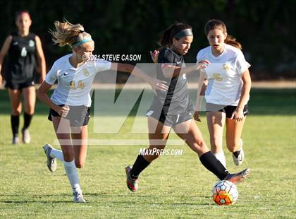 Thumbnail 1 in Del Oro @ Granite Bay photogallery.