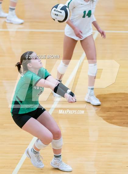 Thumbnail 1 in Cathedral vs New Castle (IHSAA 4A Regional Semifinal) photogallery.
