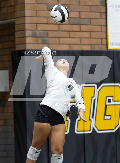 Thumbnail 3 in JV: Mesquite @ Gilbert photogallery.