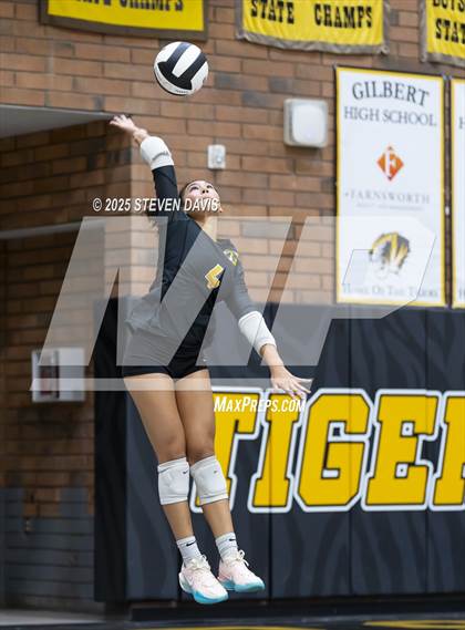 Thumbnail 3 in JV: Mesquite @ Gilbert photogallery.