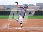 Photo from the gallery "Fort Bend Bush @ Terry"