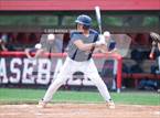 Photo from the gallery "Fort Bend Bush @ Terry"