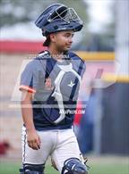 Photo from the gallery "Fort Bend Bush @ Terry"