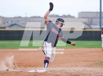 Thumbnail 3 in Fort Bend Bush @ Terry photogallery.