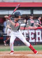 Photo from the gallery "Fort Bend Bush @ Terry"