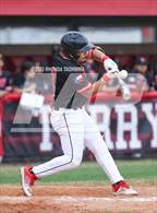 Photo from the gallery "Fort Bend Bush @ Terry"