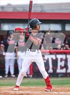 Photo from the gallery "Fort Bend Bush @ Terry"