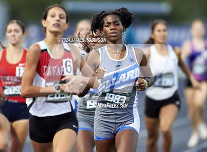 Thumbnail 2 in FHSAA 3A Finals (1600 Meters) photogallery.