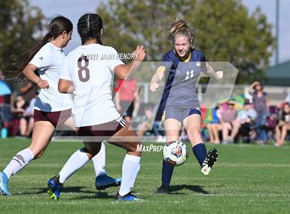 Thumbnail 2 in Boulder City vs. Pahrump Valley (Class 3A Southern Region FINAL) photogallery.