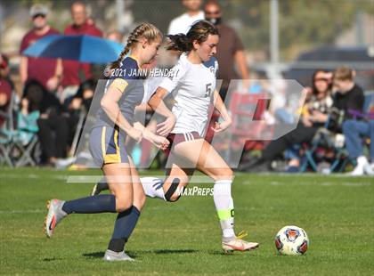Thumbnail 1 in Boulder City vs. Pahrump Valley (Class 3A Southern Region FINAL) photogallery.