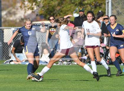 Thumbnail 2 in Boulder City vs. Pahrump Valley (Class 3A Southern Region FINAL) photogallery.
