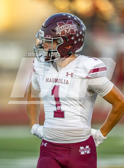 Thumbnail 1 in Magnolia @ Klein Cain photogallery.