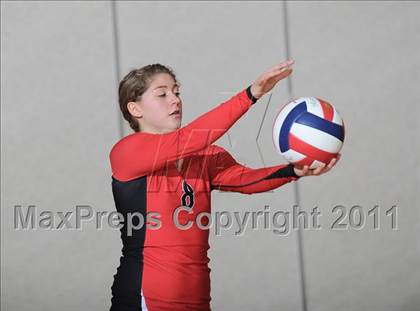 Thumbnail 1 in Webster vs. Luck photogallery.