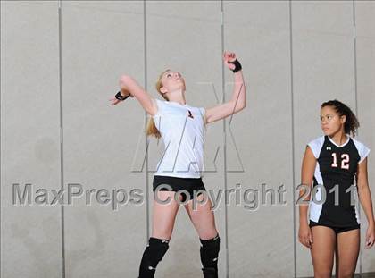 Thumbnail 1 in Webster vs. Luck photogallery.