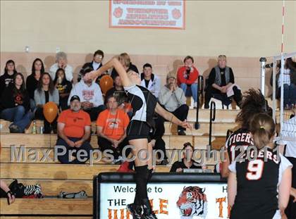 Thumbnail 1 in Webster vs. Luck photogallery.