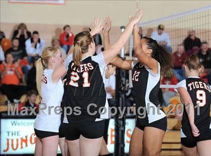 Thumbnail 3 in Webster vs. Luck photogallery.