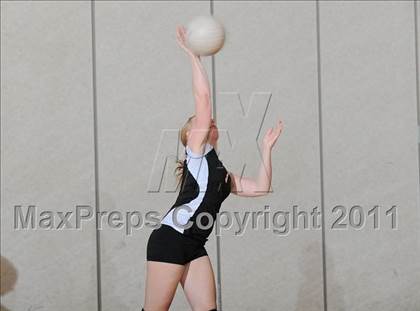 Thumbnail 3 in Webster vs. Luck photogallery.