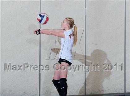 Thumbnail 1 in Webster vs. Luck photogallery.