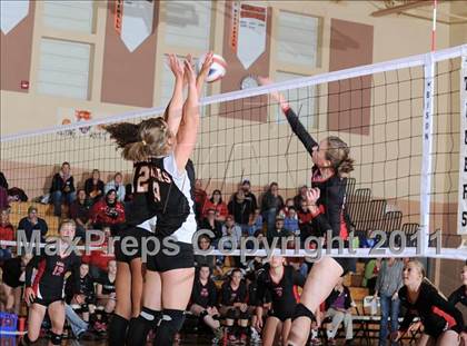 Thumbnail 2 in Webster vs. Luck photogallery.