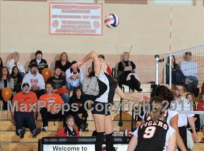 Thumbnail 1 in Webster vs. Luck photogallery.