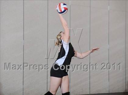 Thumbnail 1 in Webster vs. Luck photogallery.