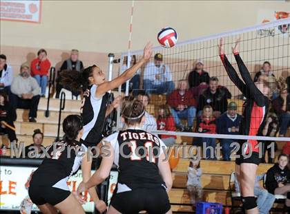 Thumbnail 3 in Webster vs. Luck photogallery.