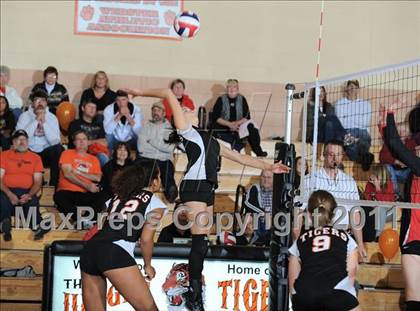 Thumbnail 2 in Webster vs. Luck photogallery.