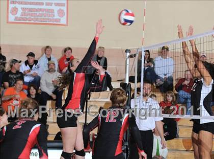 Thumbnail 2 in Webster vs. Luck photogallery.