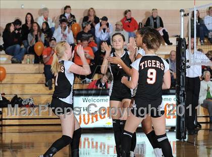 Thumbnail 3 in Webster vs. Luck photogallery.