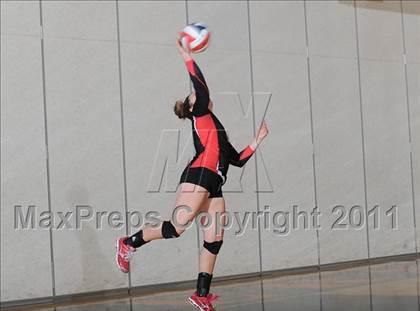 Thumbnail 1 in Webster vs. Luck photogallery.