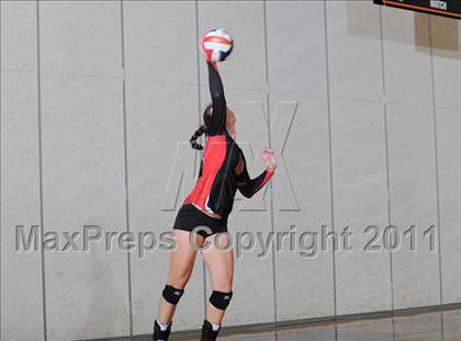 Thumbnail 2 in Webster vs. Luck photogallery.