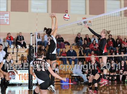 Thumbnail 1 in Webster vs. Luck photogallery.