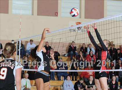 Thumbnail 3 in Webster vs. Luck photogallery.