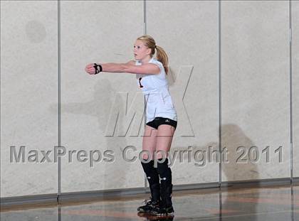 Thumbnail 3 in Webster vs. Luck photogallery.