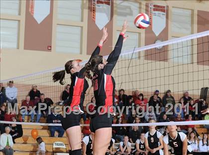 Thumbnail 2 in Webster vs. Luck photogallery.