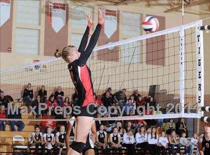 Thumbnail 1 in Webster vs. Luck photogallery.