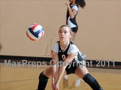 Thumbnail 3 in Webster vs. Luck photogallery.