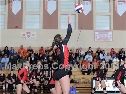 Thumbnail 1 in Webster vs. Luck photogallery.