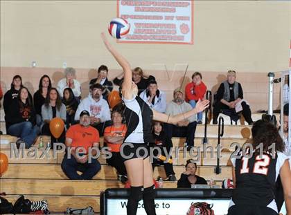 Thumbnail 3 in Webster vs. Luck photogallery.