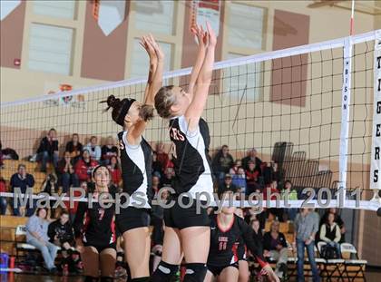 Thumbnail 1 in Webster vs. Luck photogallery.