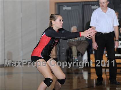 Thumbnail 3 in Webster vs. Luck photogallery.