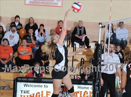 Thumbnail 3 in Webster vs. Luck photogallery.