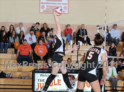 Thumbnail 2 in Webster vs. Luck photogallery.