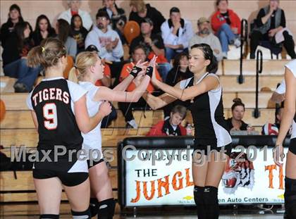 Thumbnail 2 in Webster vs. Luck photogallery.