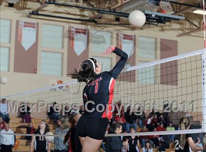 Thumbnail 2 in Webster vs. Luck photogallery.