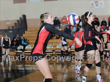 Thumbnail 1 in Webster vs. Luck photogallery.