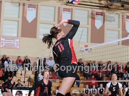 Thumbnail 1 in Webster vs. Luck photogallery.